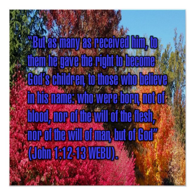 John 1:12-13 WEBU Poster (Front)