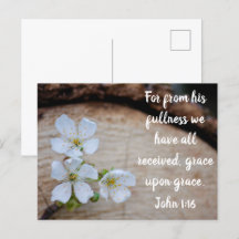 John 1:16 Wild Cherry Flowers Postcard