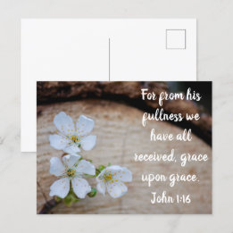 John 1:16 Wild Cherry Flowers Postcard