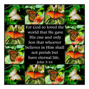 JOHN 3:16 BUTTERFLY DESIGN POSTER