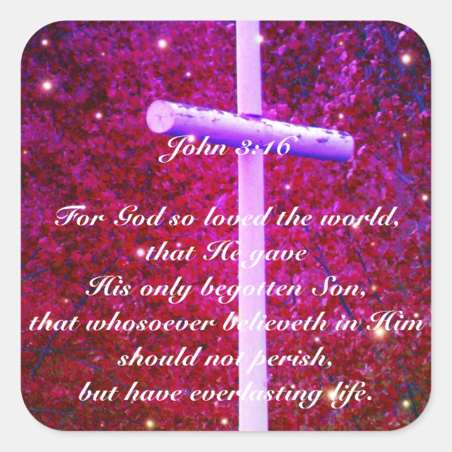 John 3:16 Christian Cross Firefly Sticker (Front)