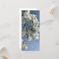 John 3:16 Custom Text | Snow Nature Original Photo