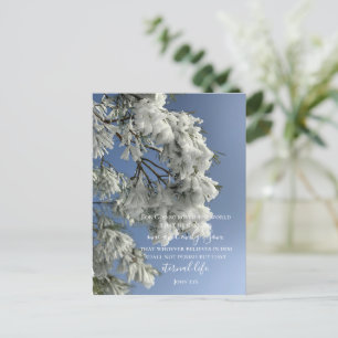 John 3:16 Custom Text   Snow Nature Original Photo Postcard