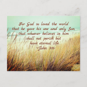 John 3:16 For God so loved the world, Bible Verse Postcard