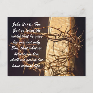 John 3:16: For God so loved the world that he gave Postcard