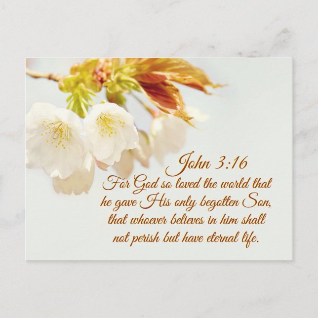 John 3:16 God so loved the world, Scripture Postcard (Front)