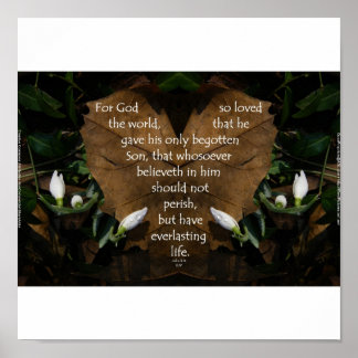 John 3:16 King James basic portfolio poster