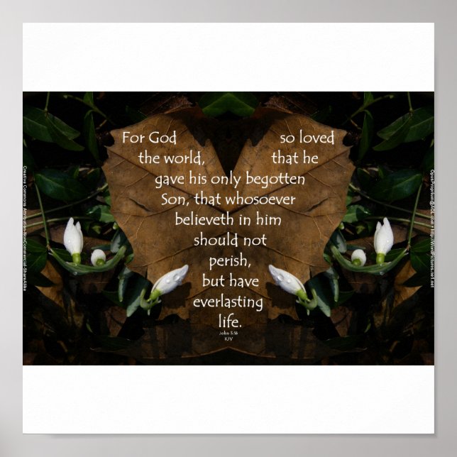 John 3:16 King James basic portfolio poster (Front)