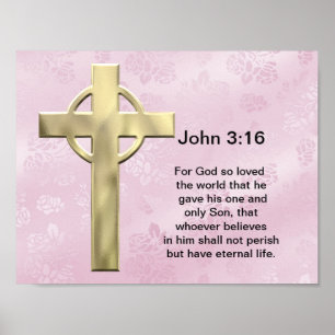 John 3:16 (pink) poster
