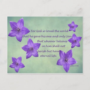 John 3:16 postcard