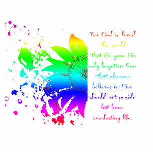 John 3:16 rainbow sunflower magnet photo sculpture magnet