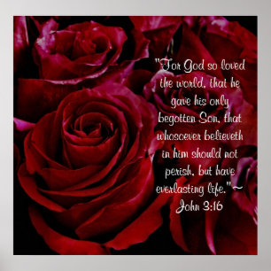 John 3:16 red roses print
