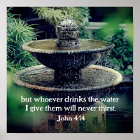 John 4:14 Whoever drinks the water I give Bible