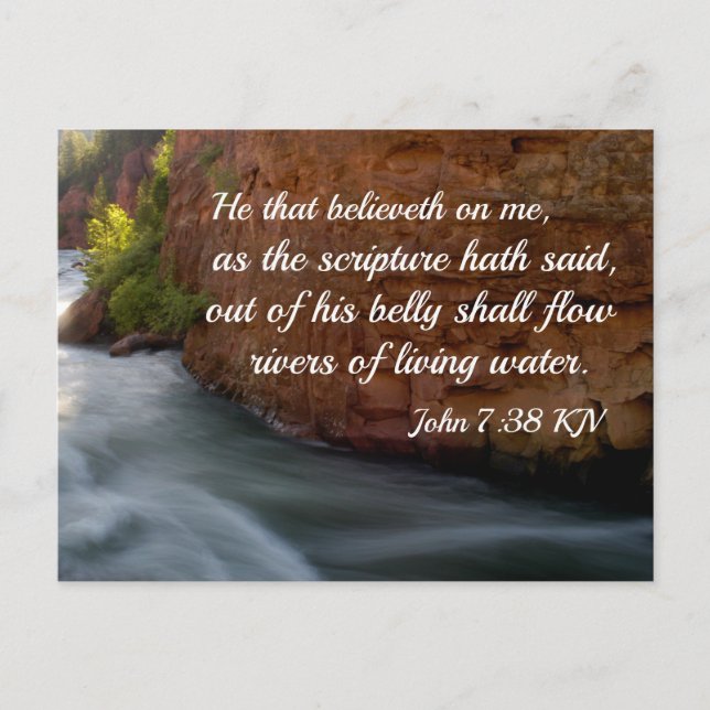 John 7:38 He that believeth on me Postcard (Front)