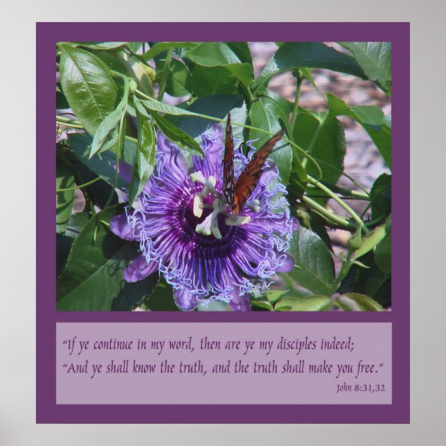 John 8:31, 32 Scripture Poster (Front)