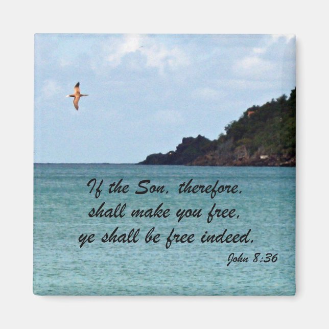 John 8:36 magnet (Front)