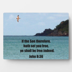 John 8:36 plaque