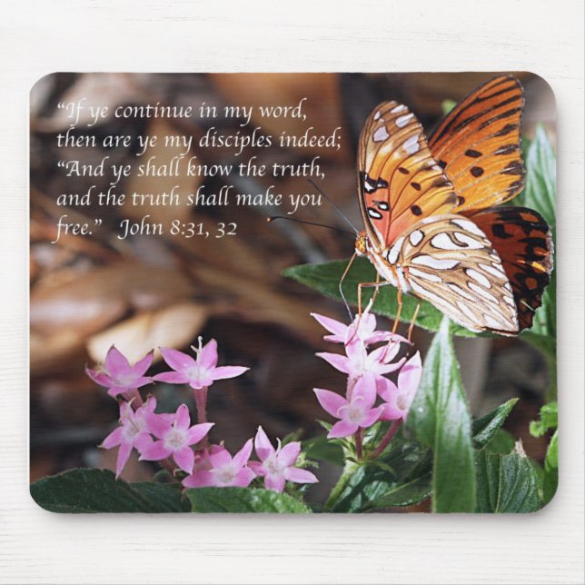 John 8 Gulf Fritillary Butterfly Mouse Mat (Front)