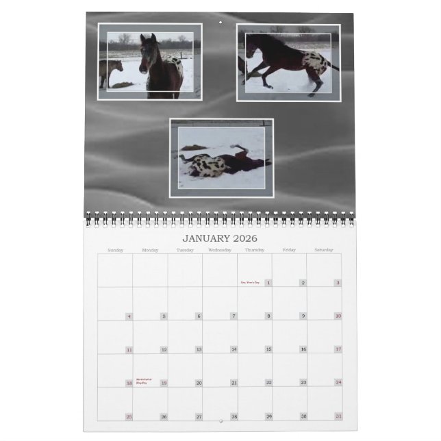 JOHN AND MARIE CRAIG'S FAMILY APPALOOSAS CALENDAR (Jan 2026)