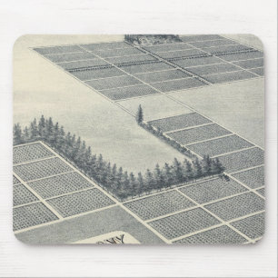 John Brown Colony, Madera, California Mouse Mat