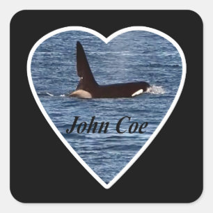 John Coe Orca Killer Whale Square Sticker
