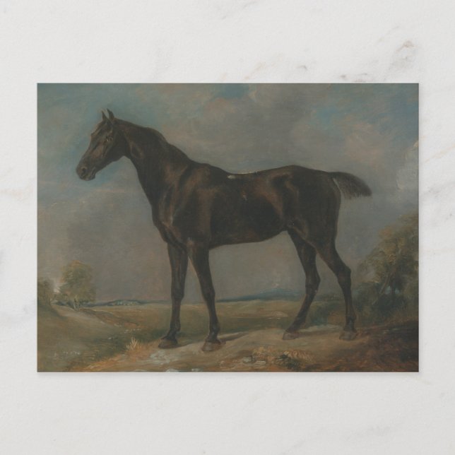 John Constable - Golding Constable's Black Riding Postcard (Front)