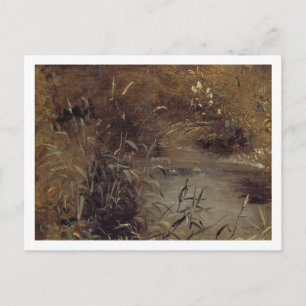 John Constable Rushes by a Pool, c.1821 (oil on Postcard