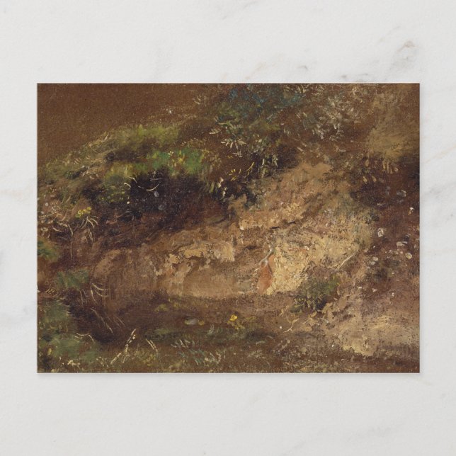 John Constable | Undergrowth, c.1821 (oil on paper Postcard (Front)