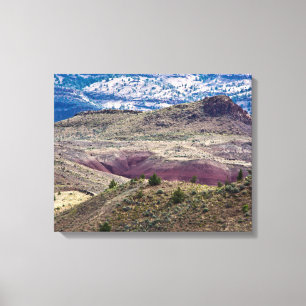 John Day Fossil Beds National Monument, Oregon Canvas Print
