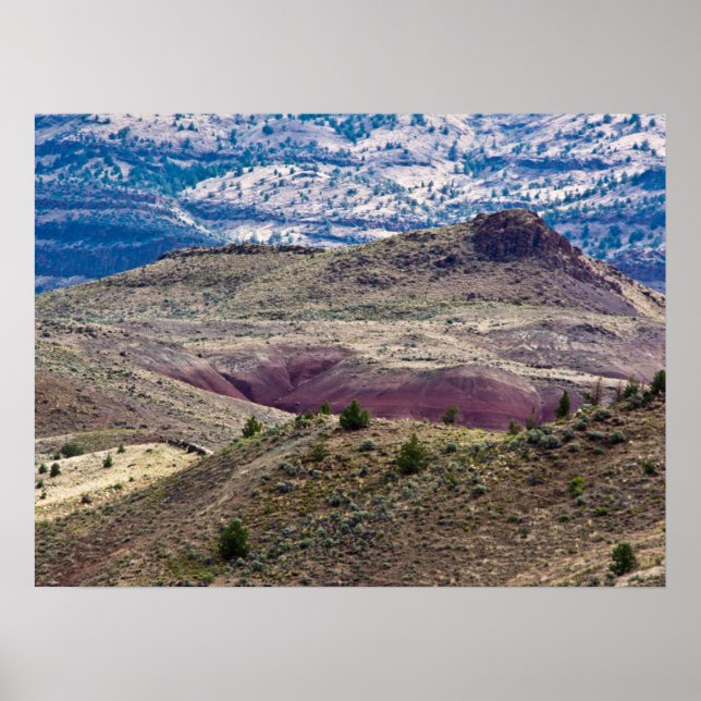 John Day Fossil Beds National Monument, Oregon Poster (Front)