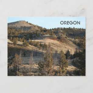 John Day Fossil Beds Postcard