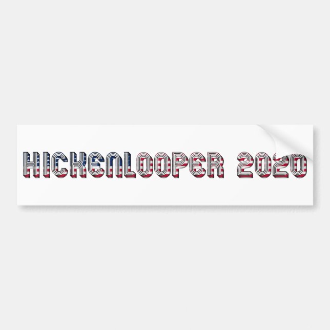 John Hickenlooper Presidential Candidate 2020 Bumper Sticker (Front)