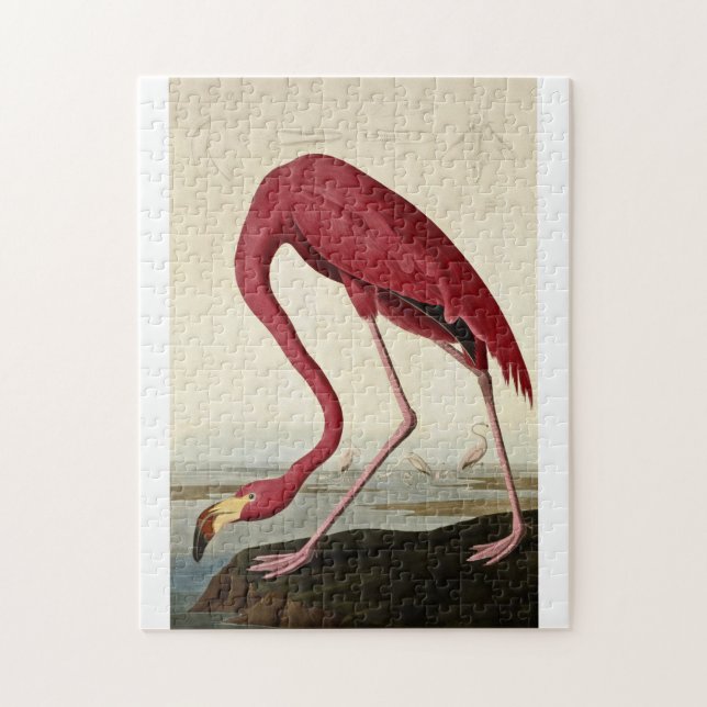 John James Audubon - American Flamingo Jigsaw Puzzle (Vertical)