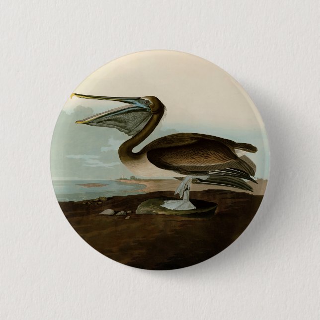 John James Audubon Brown Pelican Artwork Painting 6 Cm Round Badge (Front)