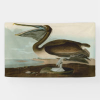 John James Audubon Brown Pelican Artwork Painting