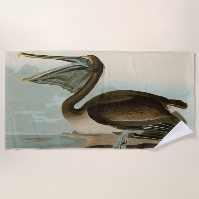 John James Audubon Brown Pelican Artwork Painting Beach Towel (Front)