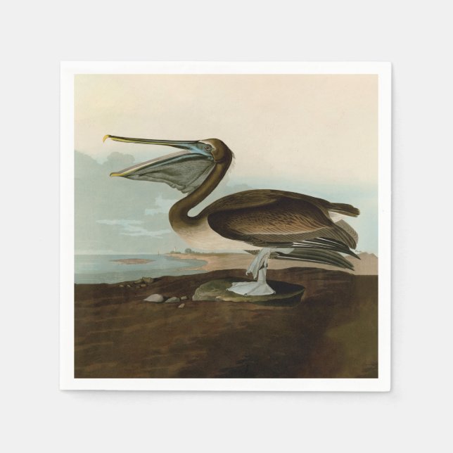 John James Audubon Brown Pelican Artwork Painting Napkin (Front)
