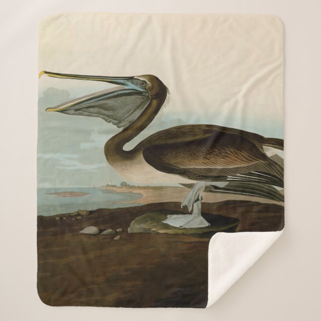 John James Audubon Brown Pelican Artwork Painting Sherpa Blanket (Front)