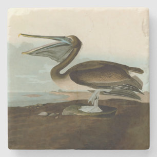 John James Audubon Brown Pelican Artwork Painting Stone Coaster