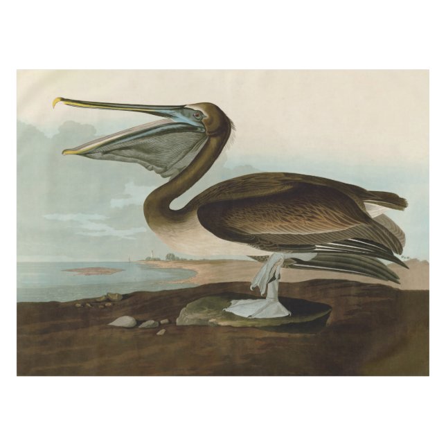 John James Audubon Brown Pelican Artwork Painting Tablecloth (Front (Horizontal))