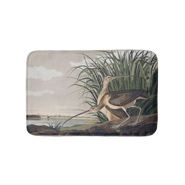 John James Audubon Long-Billed Curlew Bird Bath Mat (Front)