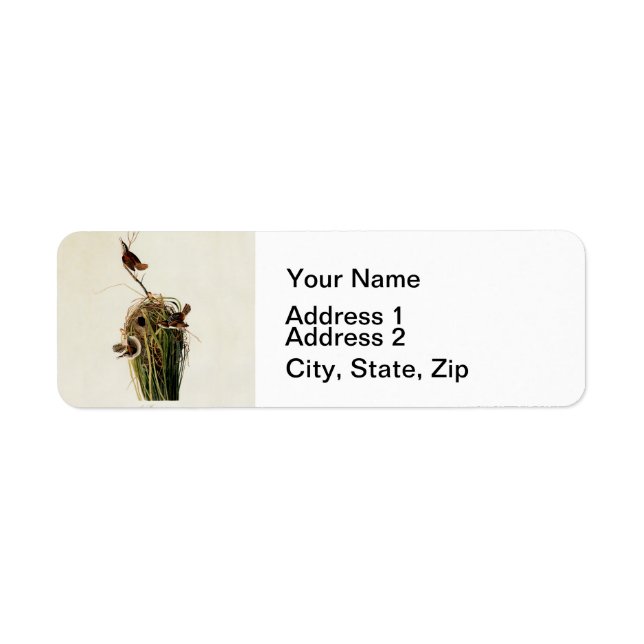 John James Audubon Marsh Wren Bird Print (Front)