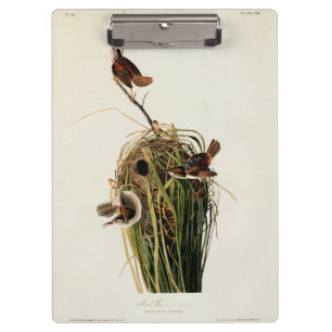 John James Audubon Marsh Wren Bird Print Clipboard