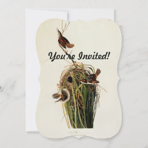 John James Audubon Marsh Wren Bird Print Invitation