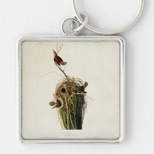 John James Audubon Marsh Wren Bird Print Key Ring