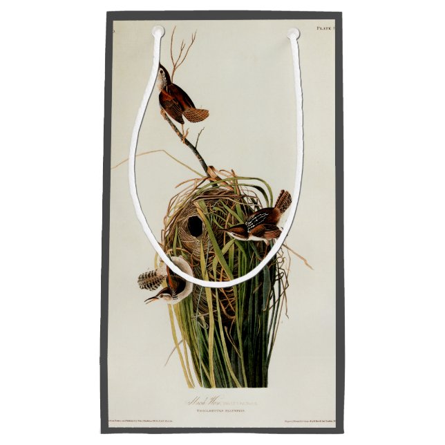 John James Audubon Marsh Wren Bird Print Small Gift Bag (Front)