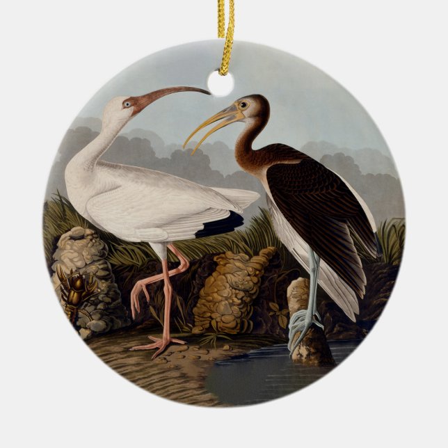 John James Audubon White Ibis Bird Print Classic Ceramic Tree Decoration (Front)