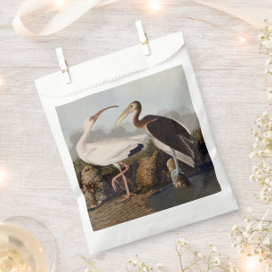 John James Audubon White Ibis Bird Print Classic Favour Bags