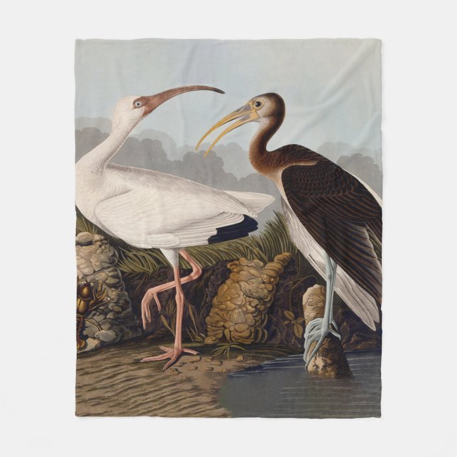 John James Audubon White Ibis Bird Print Classic Fleece Blanket (Front)