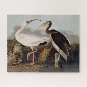 John James Audubon White Ibis Bird Print Classic Jigsaw Puzzle
